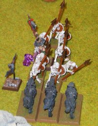 Even more bones for the dogs.jpg