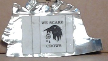 Scarecrow flag 1 cropped.jpg