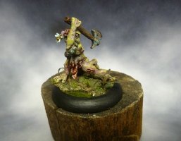 SLANN (1).JPG