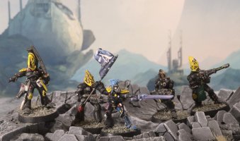 eldar-army-guardians-01.jpg