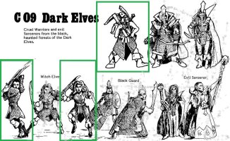 C09 Dark elves - updated.jpg