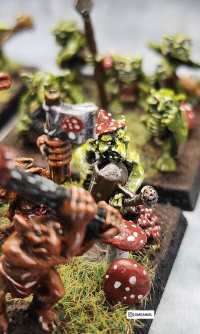 20240204_120849.jpg 20240204_120849.jpg