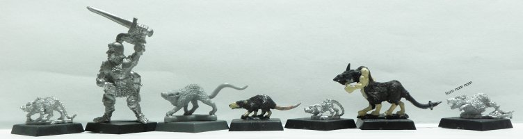 Rattus Norvegicus.jpg Rattus Norvegicus.jpg