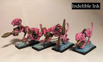 WF Protonids.jpg