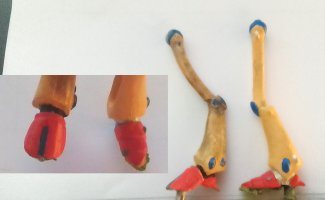 EldarFeet.jpg