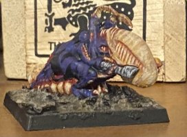 IMG_2783.jpeg