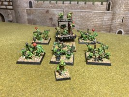 IMG_0939.jpeg