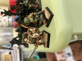 IMG_8034.jpeg