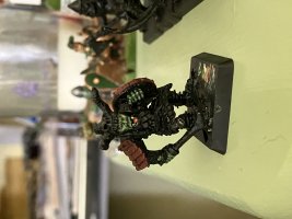 IMG_1397.jpeg