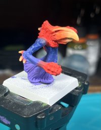 IMG_3917.jpeg