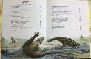 IMG_0687.jpeg
