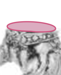 Captura de pantalla 2025-09-09 a las 7.56.31.png Captura de pantalla 2025-09-09 a las 7.56.31.png