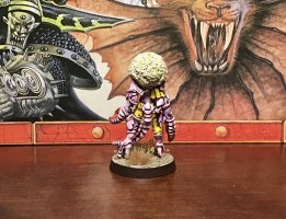 IMG_6337.jpeg