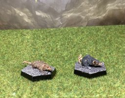 IMG_0784.jpeg