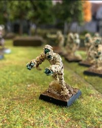 WhatsApp Image 2025-10-20 at 20.41.25.jpeg