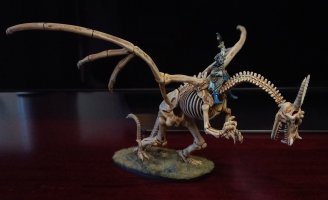 1000008257.jpg 1000008257.jpg