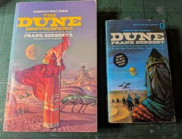 dune4.jpg