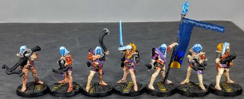 Eldar Pirates1a.jpg