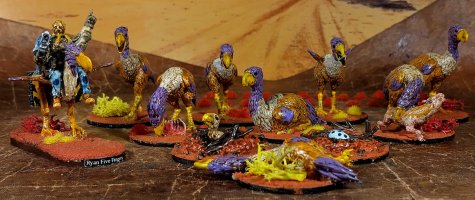 Culchan flock.jpg Culchan flock.jpg