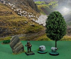 Sheep comparison.jpg