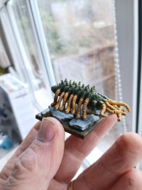 20260219_113705.jpg 20260219_113705.jpg