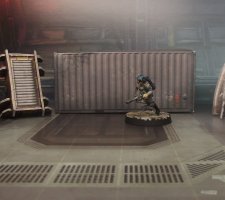 barbaretta 2.JPG barbaretta 2.JPG