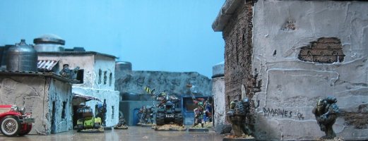 IMG_3443-1 (Medium).jpg