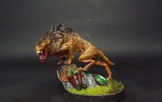 Front with Shield best.JPG