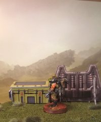 wasteland scavanger b.JPG