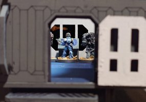 20260406_000817-1 (Medium).JPG