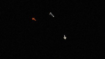 20260402_154310-BungarusCapture (Medium).jpg