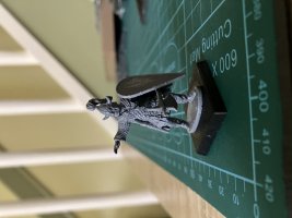IMG_9241.jpeg