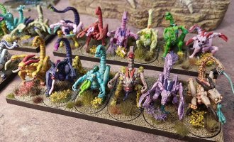 IMG_2089.jpeg