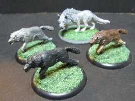 Old Glory Wolves   (2).JPG