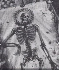 Imperial Skelly.JPG