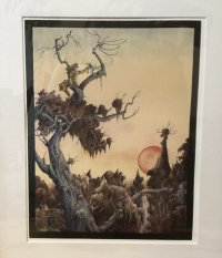 IMG_1334.jpeg