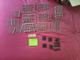 6E ClanratsContents.jpg