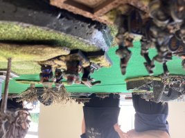 IMG_1548.jpeg