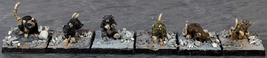 Giant rats6a.jpg Giant rats6a.jpg