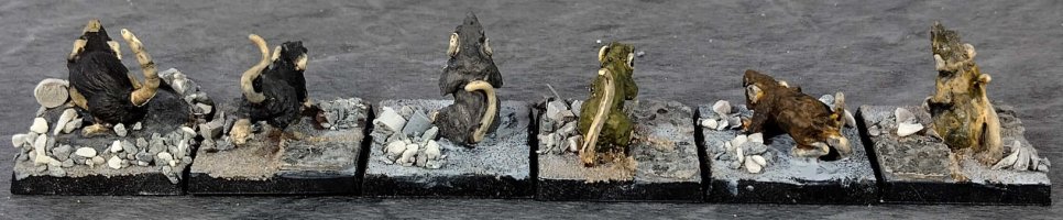 Giant rats6b.jpg Giant rats6b.jpg