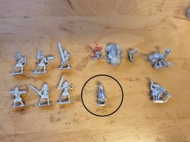 IMG_2228.jpeg