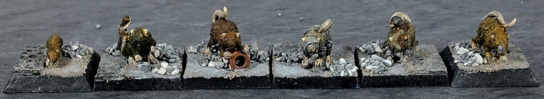 Giant rats7a.jpg Giant rats7a.jpg