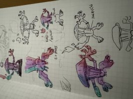 IMG_0508.jpeg
