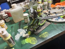 IMG_2347.jpeg