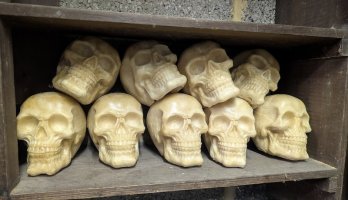 skulls-for-the-skull-god.jpg skulls-for-the-skull-god.jpg