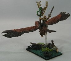 Sidhe Eagle-rider3.JPG