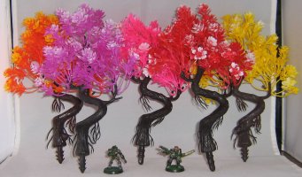 Bonsai trees.JPG