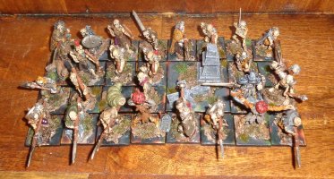 Fir Bolg Unit 1.3.JPG