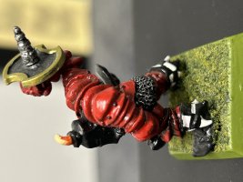 IMG_4701.jpeg