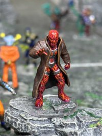 Flay front.jpg Flay front.jpg